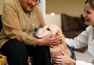 Who Benefits Most From Pet Therapy